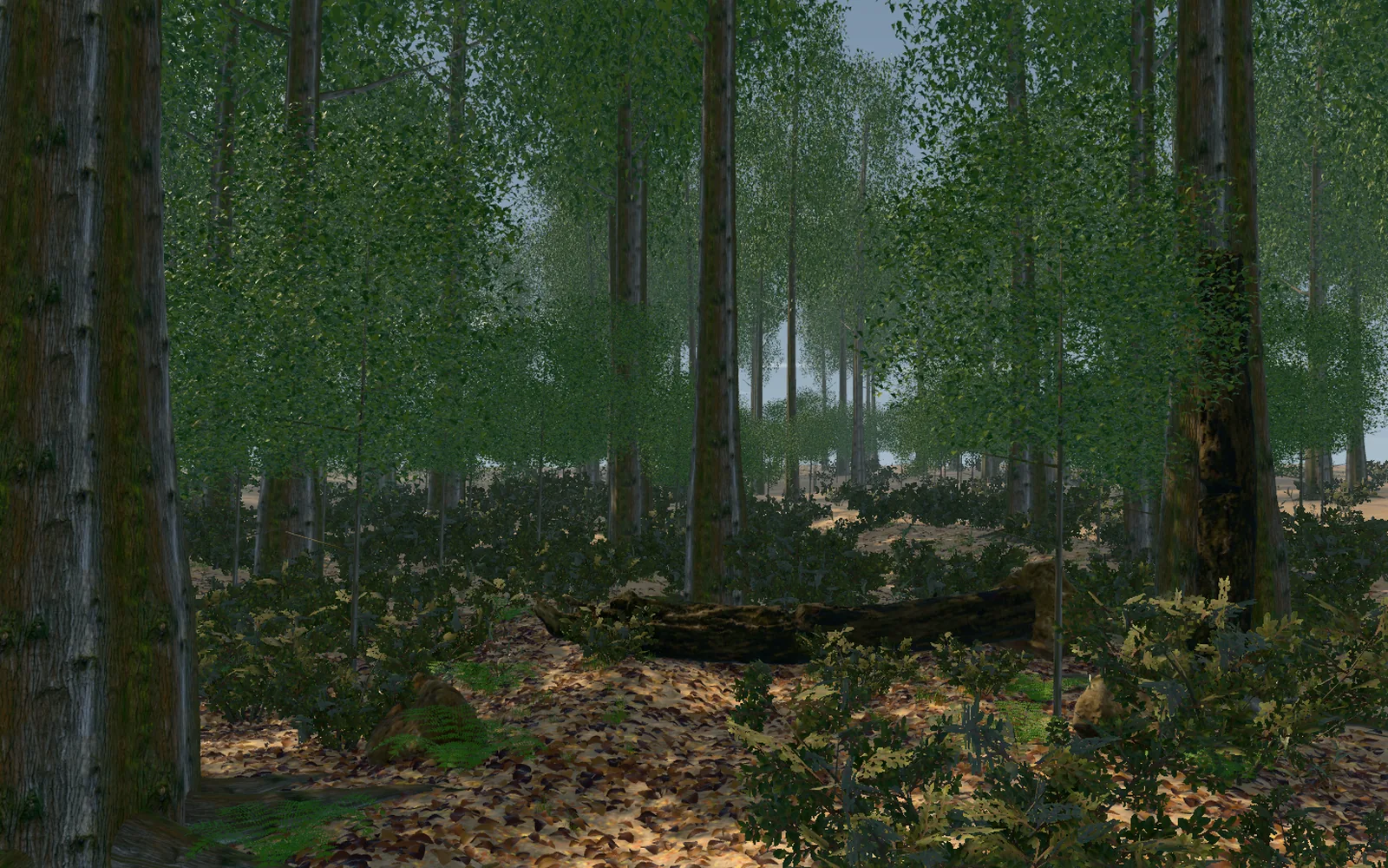 Dense woodland with sunlight between the trees in a game build.